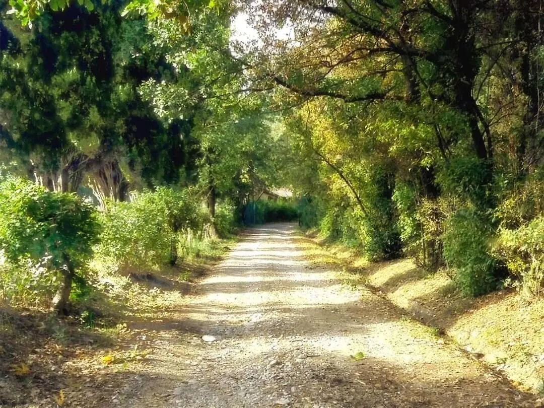 Casa Della Ludo B&B Veggia-Villalunga Italien
